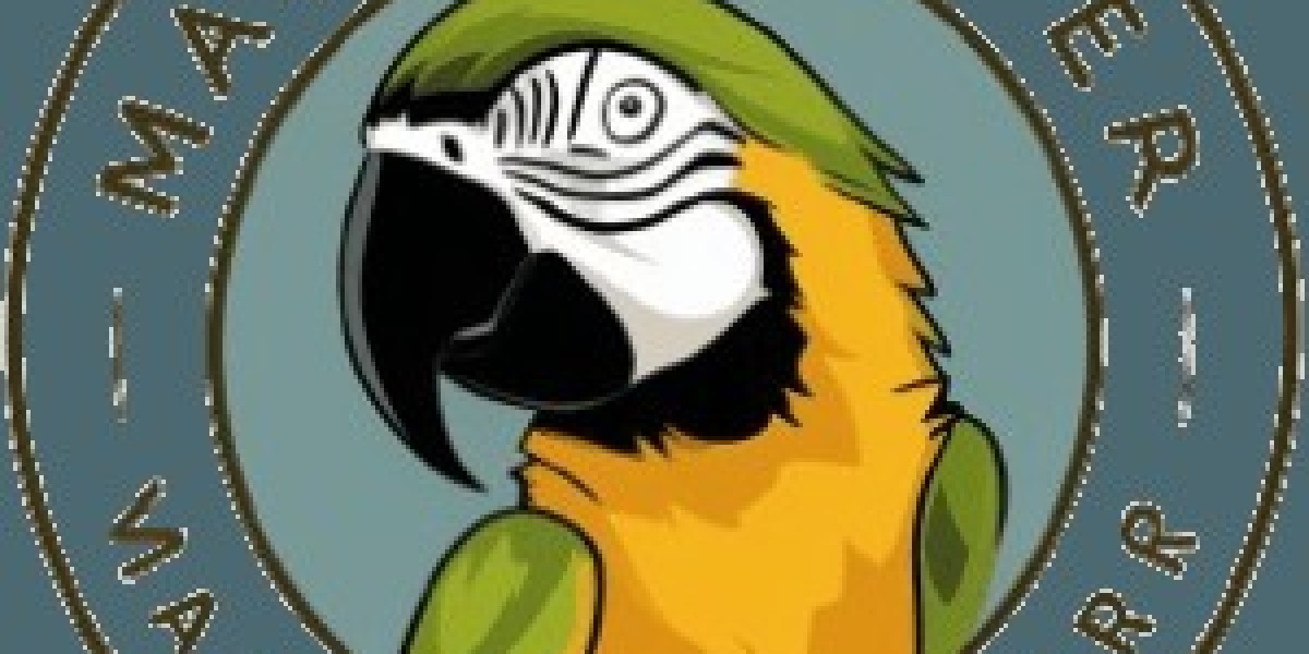 A Comprehensive Guide to Buying a Macaw Parrot